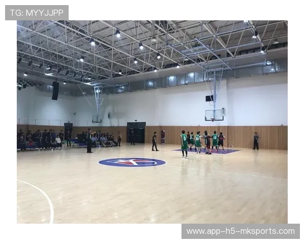 篮球少年们的青春赞歌，篮球少年歌词