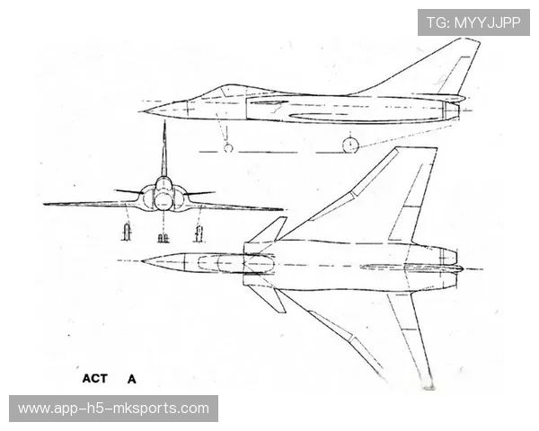 战术体系演化分析报告